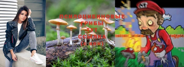 соль ск Верея